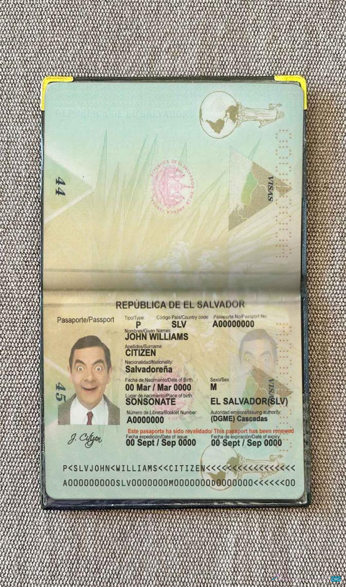 Download Salvador passport photo look Photoshop template